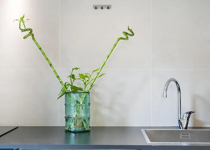 Gioberti * تورينو